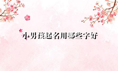 小男孩起名用哪些字好