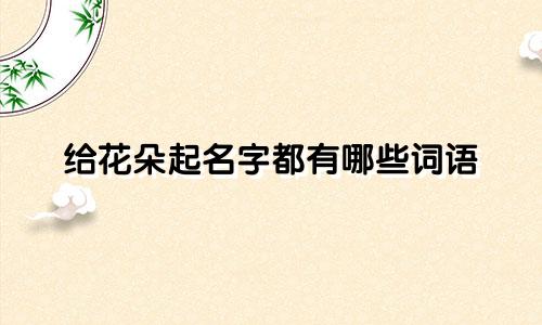 给花朵起名字都有哪些词语