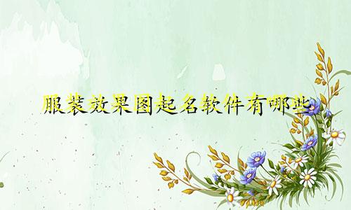 服装效果图起名软件有哪些