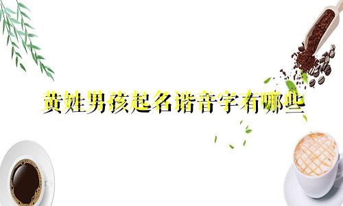 黄姓男孩起名谐音字有哪些