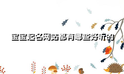 宝宝起名网站都有哪些好听的