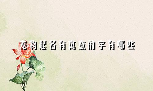 宠物起名有寓意的字有哪些