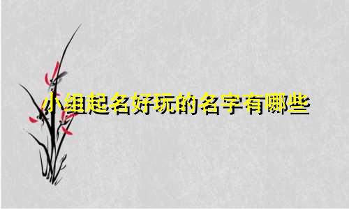 小组起名好玩的名字有哪些