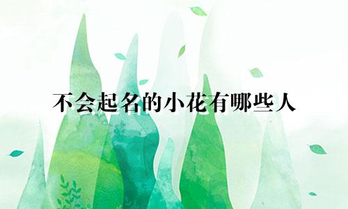 不会起名的小花有哪些人