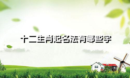 十二生肖起名法有哪些字