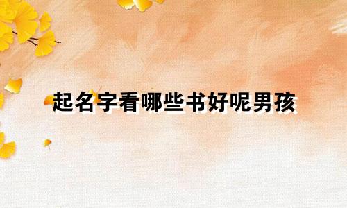 起名字看哪些书好呢男孩