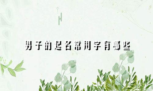 男子的起名常用字有哪些