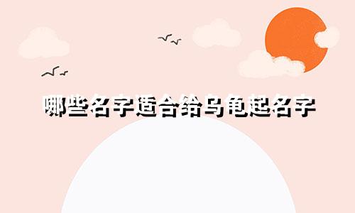 哪些名字适合给乌龟起名字