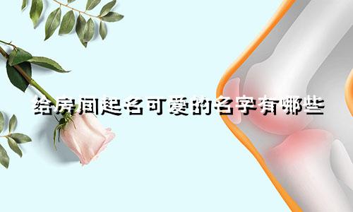 给房间起名可爱的名字有哪些
