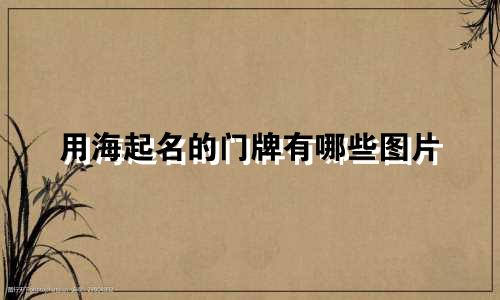 用海起名的门牌有哪些图片