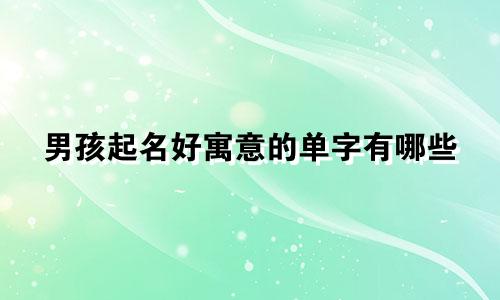 男孩起名好寓意的单字有哪些