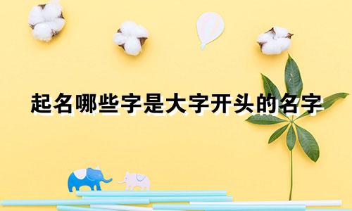 起名哪些字是大字开头的名字