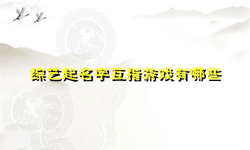 综艺起名字互指游戏有哪些