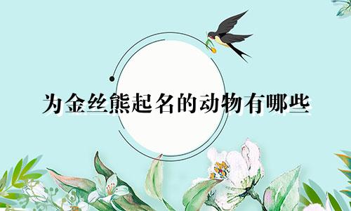 为金丝熊起名的动物有哪些