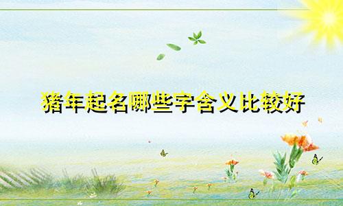 猪年起名哪些字含义比较好
