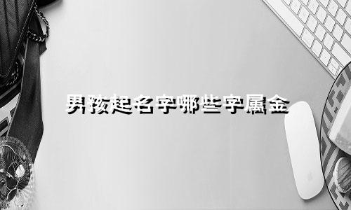男孩起名字哪些字属金