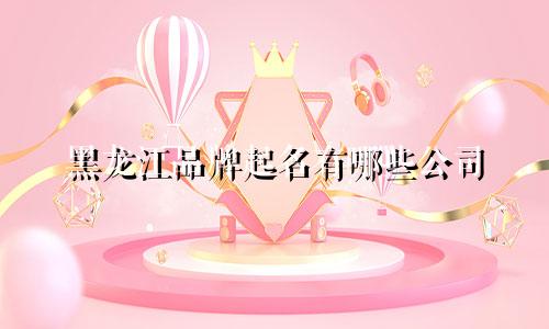 黑龙江品牌起名有哪些公司