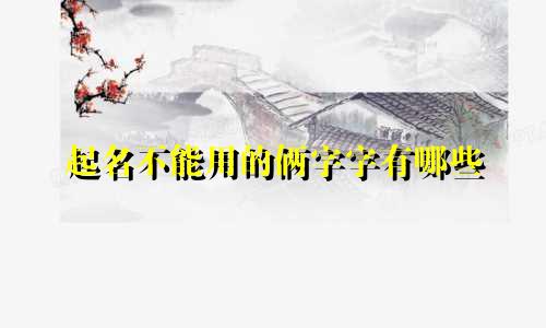 起名不能用的俩字字有哪些