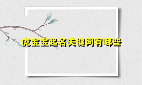 虎宝宝起名关键词有哪些