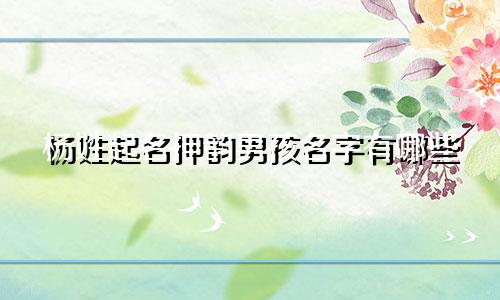 杨姓起名押韵男孩名字有哪些