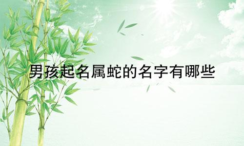 男孩起名属蛇的名字有哪些