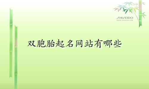 双胞胎起名网站有哪些