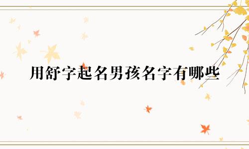 用舒字起名男孩名字有哪些