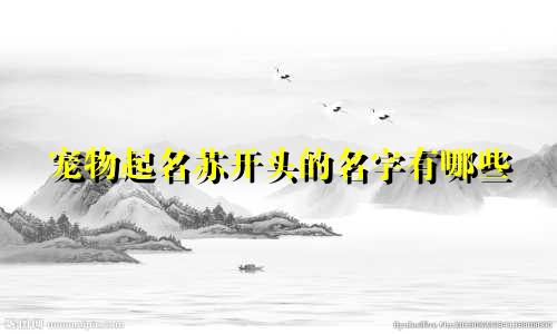 宠物起名苏开头的名字有哪些