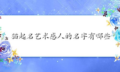 猫起名艺术感人的名字有哪些