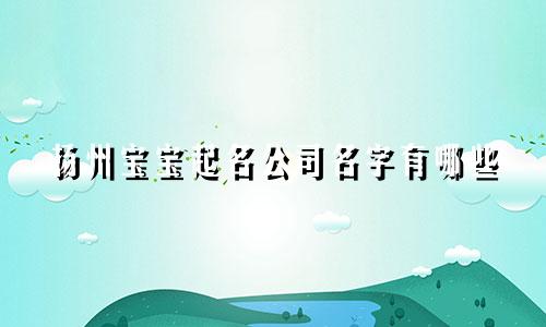 扬州宝宝起名公司名字有哪些