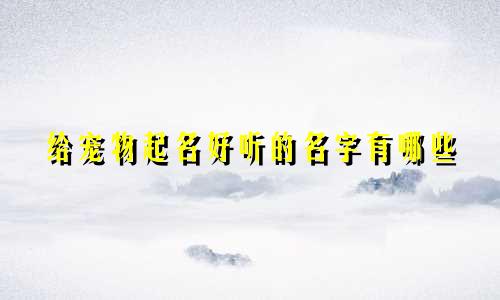 给宠物起名好听的名字有哪些