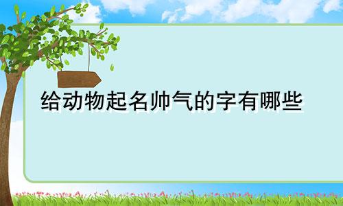 给动物起名帅气的字有哪些