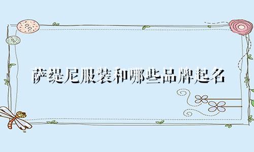 萨缇尼服装和哪些品牌起名