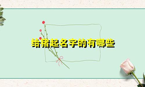给猪起名字的有哪些