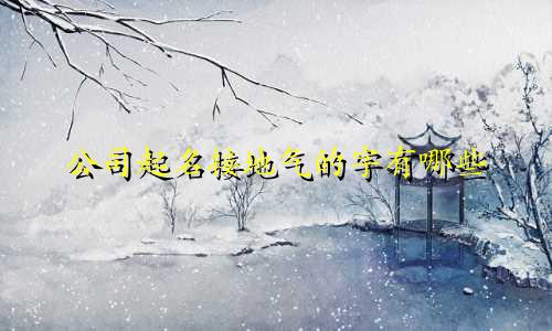 公司起名接地气的字有哪些