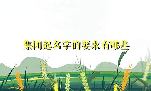 集团起名字的要求有哪些