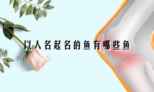 以人名起名的鱼有哪些鱼