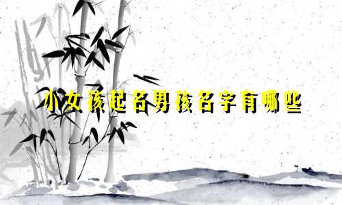 小女孩起名男孩名字有哪些