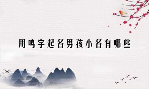 用鸣字起名男孩小名有哪些