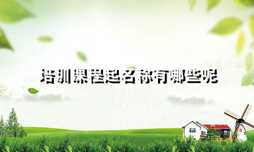 培训课程起名称有哪些呢