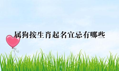 属狗按生肖起名宜忌有哪些
