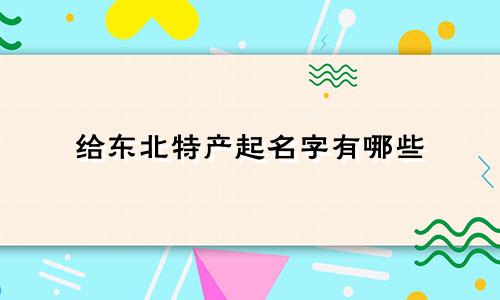 给东北特产起名字有哪些