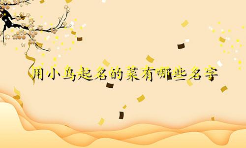 用小鸟起名的菜有哪些名字