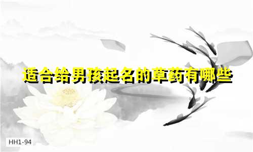 适合给男孩起名的草药有哪些