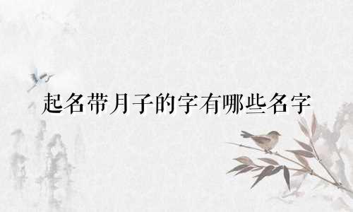 起名带月子的字有哪些名字