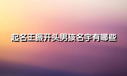起名王振开头男孩名字有哪些