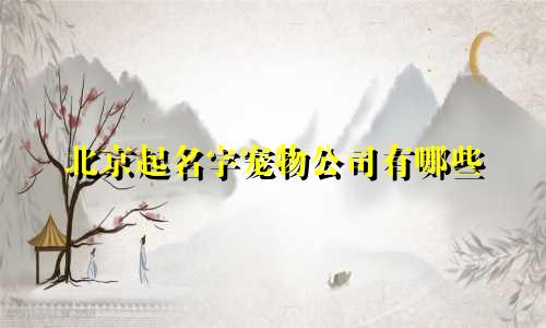 给猫起名的奇葩方式有哪些