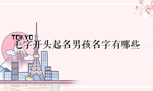 毛字开头起名男孩名字有哪些
