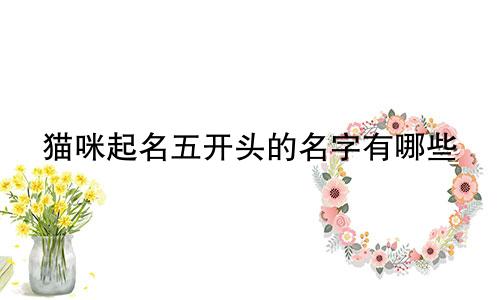 猫咪起名五开头的名字有哪些