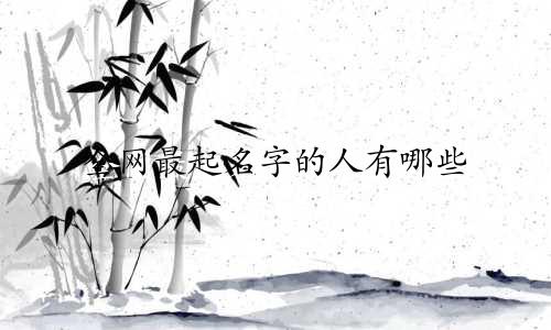 全网最起名字的人有哪些